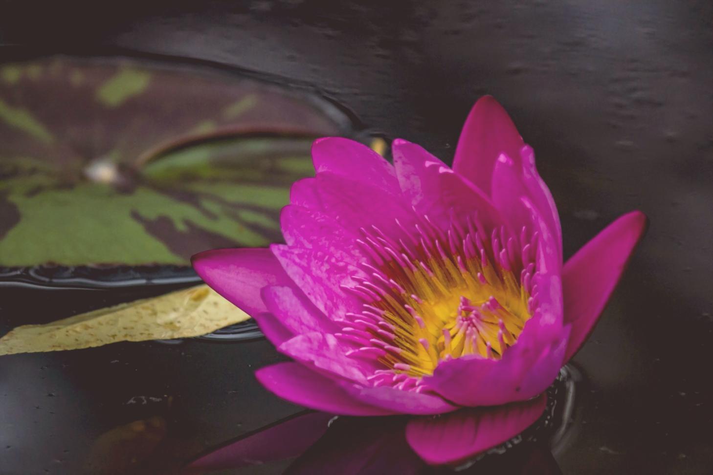 Tecniche di respirazione consapevole